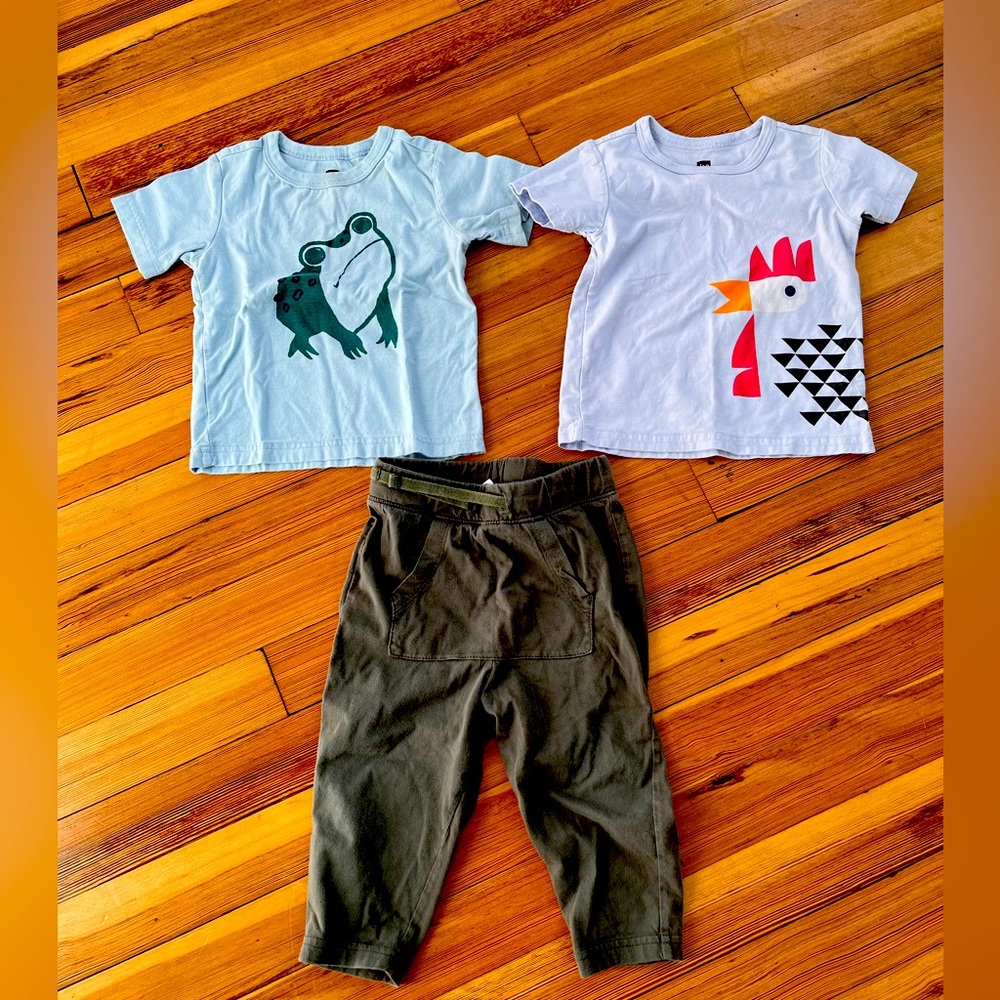Tea Collection 12-18 month Tee Shirt Set